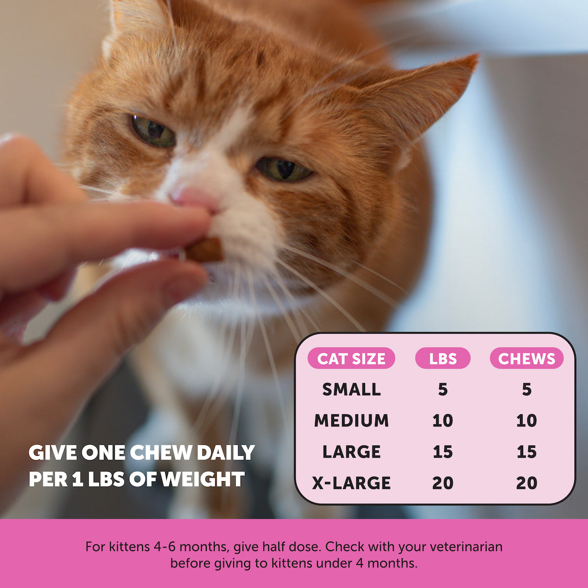 2024_Listingimages_CatMultivitamin_Instructions_424d7116-5a43-4713-b301-a68efa1da591.jpg