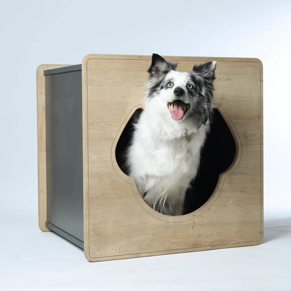 mateo-natural-dog-house-2.jpg