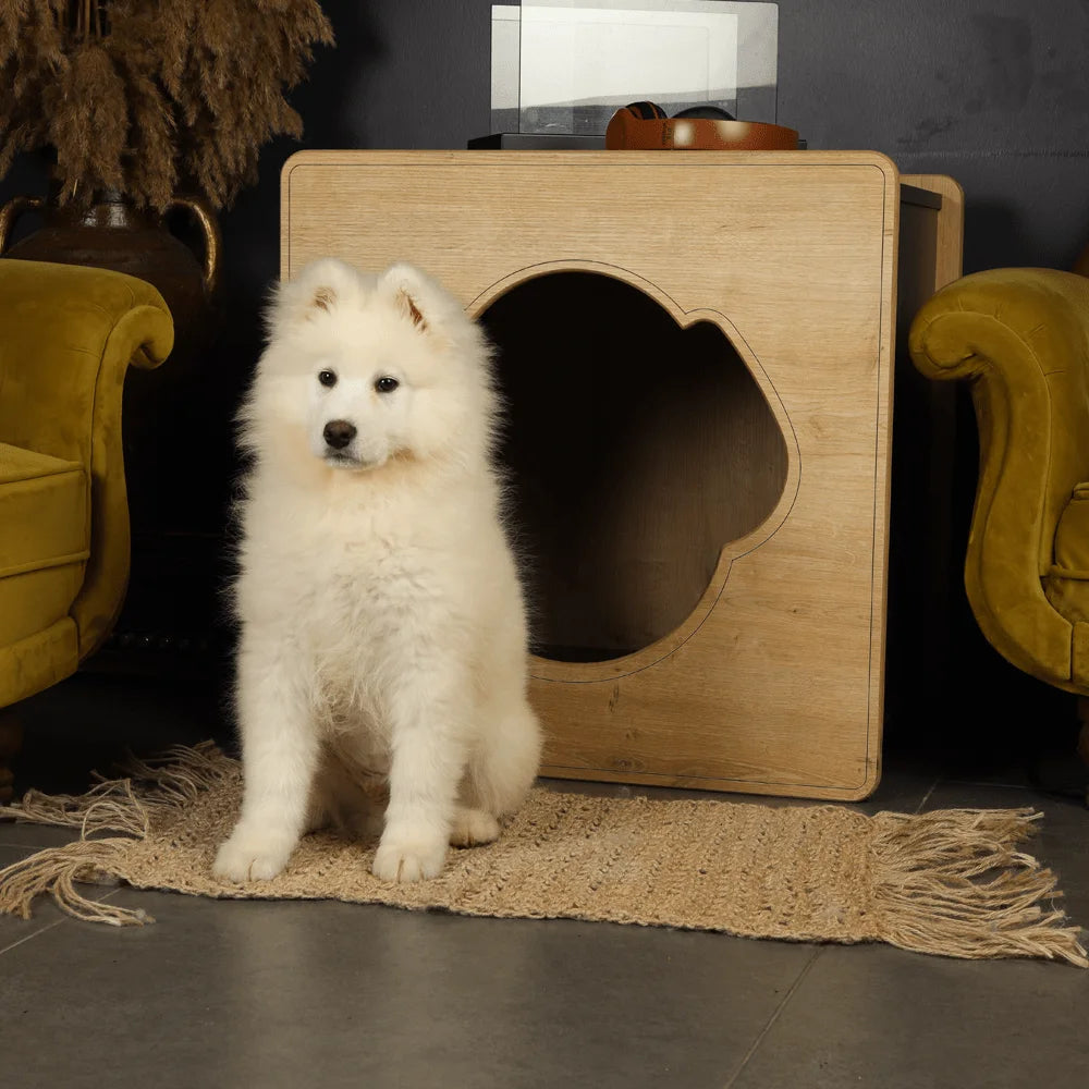 mateo-natural-dog-house-5.jpg